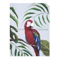 Picture of Red Parrot Paradise II _GroupedProduct_Rectangle_Portrait_Unframed_Print_Only_