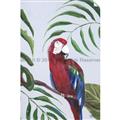 Picture of Red Parrot Paradise II _GroupedProduct_Rectangle_Portrait_Unframed_Print_Only_
