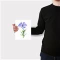 Picture of Purple Petunia I _GroupedProduct_Rectangle_Portrait_Canvas_