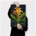 Picture of Indoor Plant _GroupedProduct_Rectangle_Portrait_Canvas_