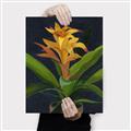 Picture of Indoor Plant _GroupedProduct_Rectangle_Portrait_Canvas_