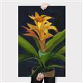 Picture of Indoor Plant _GroupedProduct_Rectangle_Portrait_Canvas_