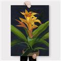 Picture of Indoor Plant _GroupedProduct_Rectangle_Portrait_Canvas_