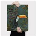 Picture of Long Beak I _GroupedProduct_Rectangle_Portrait_Canvas_