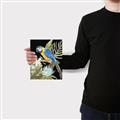 Picture of Parrot Paradise IV _GroupedProduct_Rectangle_Portrait_Canvas_