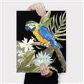 Picture of Parrot Paradise IV _GroupedProduct_Rectangle_Portrait_Canvas_