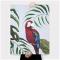 Picture of Red Parrot Paradise II _GroupedProduct_Rectangle_Portrait_Canvas_