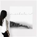 Picture of Inhale I _GroupedProduct_Square_Canvas_