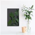 Picture of Vein Leaves I _GroupedProduct_Rectangle_Portrait_Canvas_