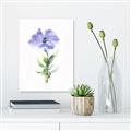 Picture of Purple Petunia I _GroupedProduct_Rectangle_Portrait_Canvas_