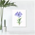 Picture of Purple Petunia I _GroupedProduct_Rectangle_Portrait_Canvas_