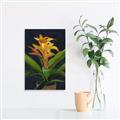 Picture of Indoor Plant _GroupedProduct_Rectangle_Portrait_Canvas_
