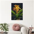 Picture of Indoor Plant _GroupedProduct_Rectangle_Portrait_Canvas_