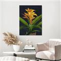 Picture of Indoor Plant _GroupedProduct_Rectangle_Portrait_Canvas_