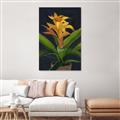 Picture of Indoor Plant _GroupedProduct_Rectangle_Portrait_Canvas_