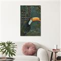 Picture of Long Beak I _GroupedProduct_Rectangle_Portrait_Canvas_