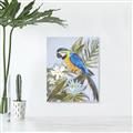Picture of Parrot Paradise II  _GroupedProduct_Rectangle_Portrait_Canvas_