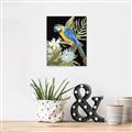 Picture of Parrot Paradise IV _GroupedProduct_Rectangle_Portrait_Canvas_