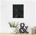 Picture of Tropical Palm Leaves I _GroupedProduct_Rectangle_Portrait_Canvas_
