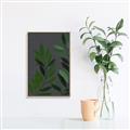 Picture of Vein Leaves I _GroupedProduct_Rectangle_Portrait_Canvas_Framed_
