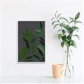 Picture of Vein Leaves I _GroupedProduct_Rectangle_Portrait_Canvas_Framed_