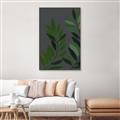 Picture of Vein Leaves I _GroupedProduct_Rectangle_Portrait_Canvas_Framed_