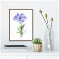 Picture of Purple Petunia I _GroupedProduct_Rectangle_Portrait_Canvas_Framed_