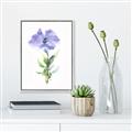 Picture of Purple Petunia I _GroupedProduct_Rectangle_Portrait_Canvas_Framed_