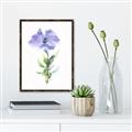 Picture of Purple Petunia I _GroupedProduct_Rectangle_Portrait_Canvas_Framed_