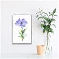Picture of Purple Petunia I _GroupedProduct_Rectangle_Portrait_Canvas_Framed_
