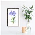 Picture of Purple Petunia I _GroupedProduct_Rectangle_Portrait_Canvas_Framed_