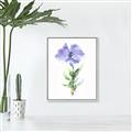 Picture of Purple Petunia I _GroupedProduct_Rectangle_Portrait_Canvas_Framed_