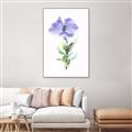 Picture of Purple Petunia I _GroupedProduct_Rectangle_Portrait_Canvas_Framed_