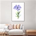 Picture of Purple Petunia I _GroupedProduct_Rectangle_Portrait_Canvas_Framed_