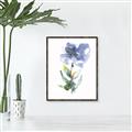 Picture of Purple Petunia II _GroupedProduct_Rectangle_Portrait_Canvas_Framed_