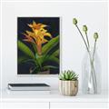 Picture of Indoor Plant _GroupedProduct_Rectangle_Portrait_Canvas_Framed_