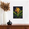 Picture of Indoor Plant _GroupedProduct_Rectangle_Portrait_Canvas_Framed_
