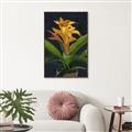 Picture of Indoor Plant _GroupedProduct_Rectangle_Portrait_Canvas_Framed_