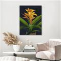 Picture of Indoor Plant _GroupedProduct_Rectangle_Portrait_Canvas_Framed_