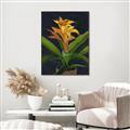 Picture of Indoor Plant _GroupedProduct_Rectangle_Portrait_Canvas_Framed_