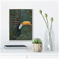 Picture of Long Beak I _GroupedProduct_Rectangle_Portrait_Canvas_Framed_