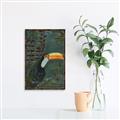 Picture of Long Beak I _GroupedProduct_Rectangle_Portrait_Canvas_Framed_