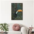 Picture of Long Beak I _GroupedProduct_Rectangle_Portrait_Canvas_Framed_