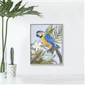 Picture of Parrot Paradise II  _GroupedProduct_Rectangle_Portrait_Canvas_Framed_