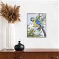 Picture of Parrot Paradise II  _GroupedProduct_Rectangle_Portrait_Canvas_Framed_