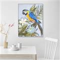 Picture of Parrot Paradise II  _GroupedProduct_Rectangle_Portrait_Canvas_Framed_