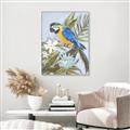 Picture of Parrot Paradise II  _GroupedProduct_Rectangle_Portrait_Canvas_Framed_