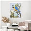 Picture of Parrot Paradise II  _GroupedProduct_Rectangle_Portrait_Canvas_Framed_