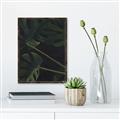 Picture of Tropical Palm Leaves I _GroupedProduct_Rectangle_Portrait_Canvas_Framed_