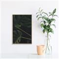 Picture of Tropical Palm Leaves I _GroupedProduct_Rectangle_Portrait_Canvas_Framed_